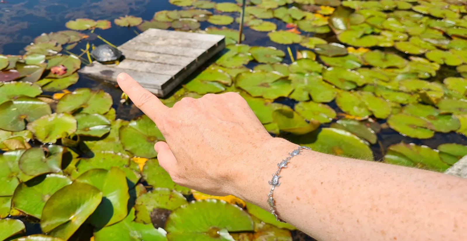 925 Silver Turtle Link Bracelet