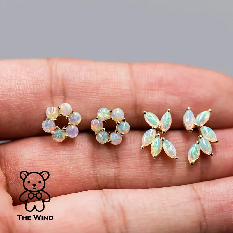 Feather Design Australian Solid Opal Stud Earrings 14K Yellow Gold