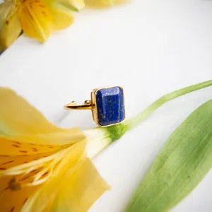 Octagon Cut Lapis Ring